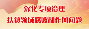 深化专项治理扶贫领域腐败和作风问题