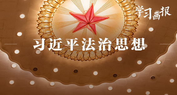 学习画报 | 习近平法治思想