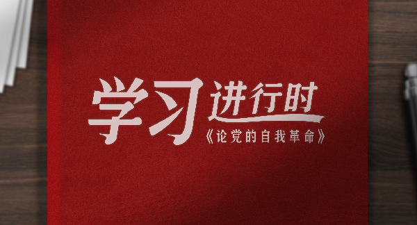 确保党始终成为中国特色社会主义事业的坚强领导核心（二）