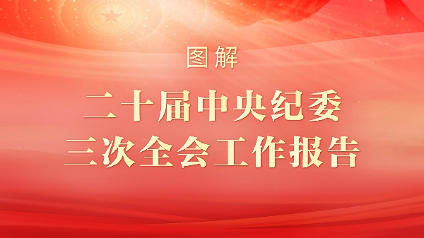 图解丨二十届中央纪委三次全会工作报告